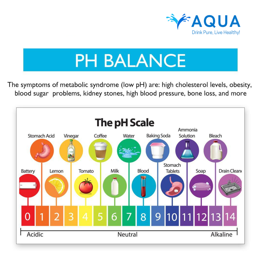 Untitled design - 2025-08-11T204444.379